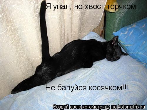 Я упал, но хвост торчком Не балуйся косячком!!!... Котоматрица: Я упал, но хвост торчком Не балуйся косячком!!!