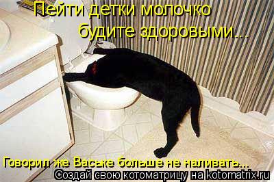 Пейти детки молочко будите здоровыми... Говорил же Ваське больше не наливать...... Котоматрица: Пейти детки молочко будите здоровыми... Говорил же Ваське больше не наливать...