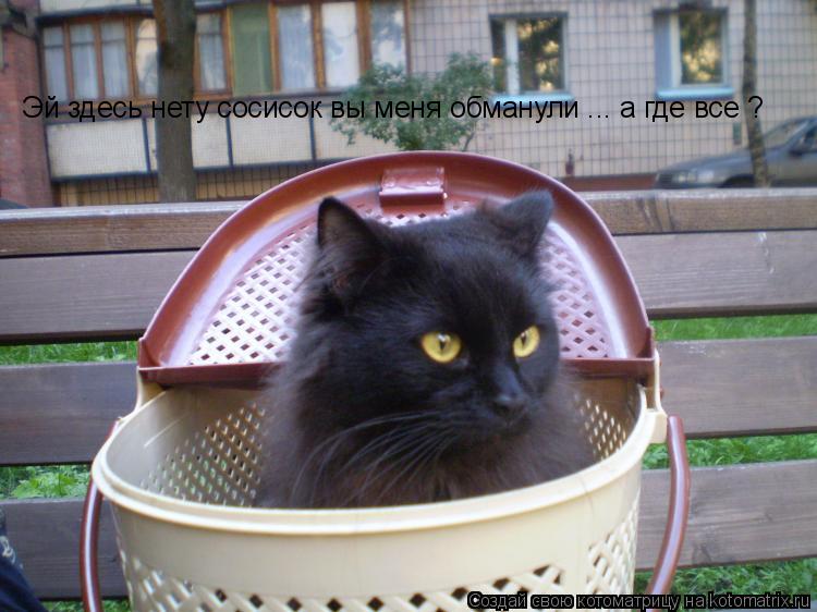 Котоматрица: Эй здесь нету сосисок вы меня обманули ... а где все ?
