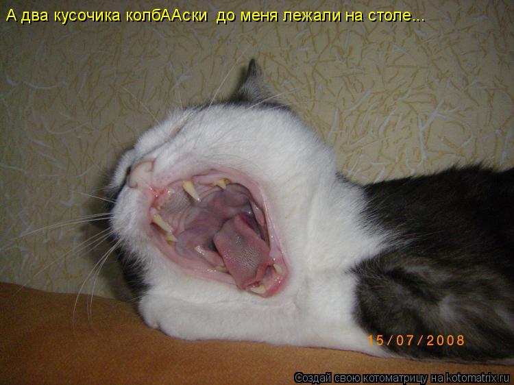 А два кусочика колбААски до меня лежали на столе...... Котоматрица: А два кусочика колбААски до меня лежали на столе...