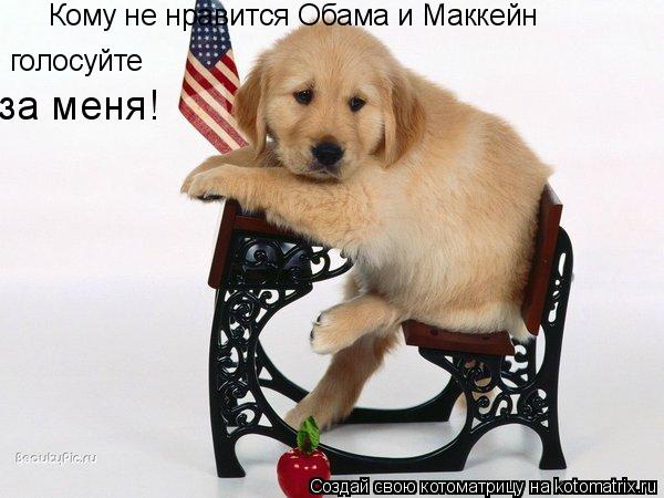 Кому не нравится Обама и Маккейн голосуйте за меня!... Котоматрица: Кому не нравится Обама и Маккейн голосуйте за меня!