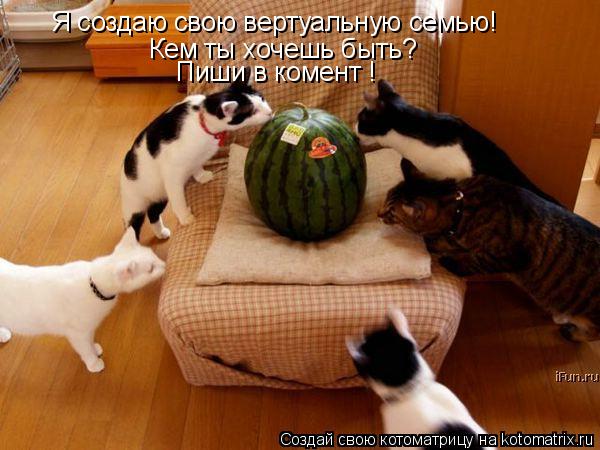 Я создаю свою вертуальную семью! Кем ты хочешь быть? Пиши в комент !... Котоматрица: Я создаю свою вертуальную семью! Кем ты хочешь быть? Пиши в комент !