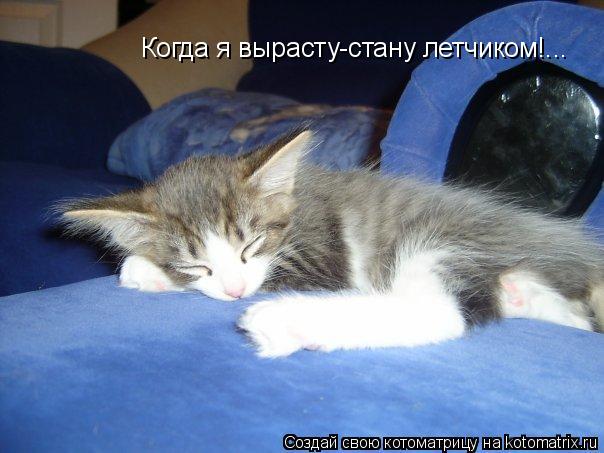 Котоматрица: Когда я вырасту-стану летчиком!...