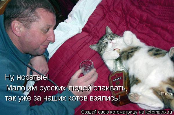 Ну, носатые! Мало им русских людей спаивать, так уже за наших котов взялись!... Котоматрица: Ну, носатые! Мало им русских людей спаивать, так уже за наших котов взялись!