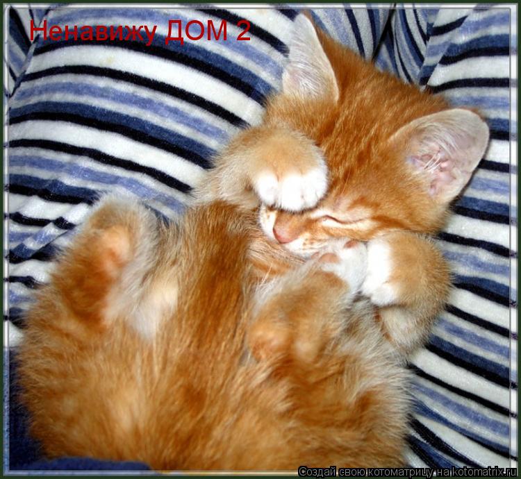Ненавижу ДОМ 2... Котоматрица: Ненавижу ДОМ 2