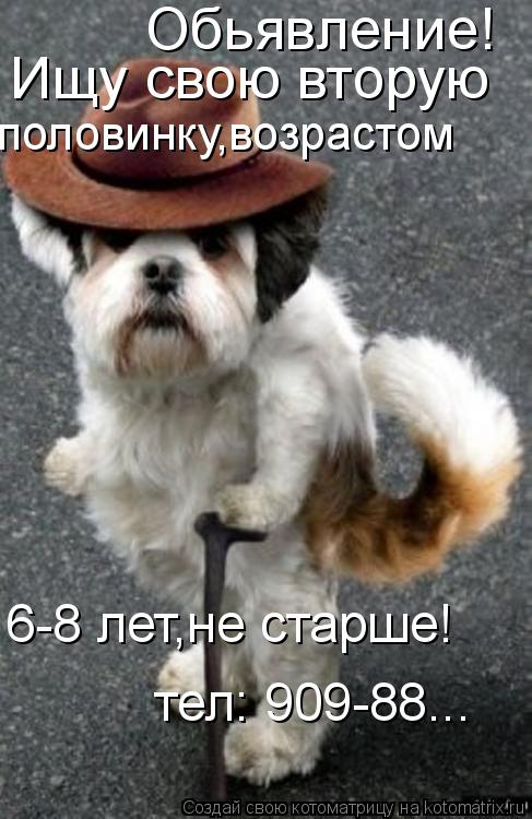 Обьявление! Ищу свою вторую половинку,возрастом 6-8 лет,не старше! тел: 909-88...... Котоматрица: Обьявление! Ищу свою вторую половинку,возрастом 6-8 лет,не старше! тел: 909-88...