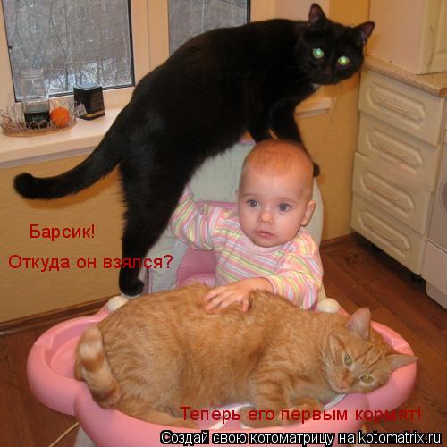 Откуда он взялся? Барсик! Теперь его первым кормят!... Котоматрица: Откуда он взялся? Барсик! Теперь его первым кормят!
