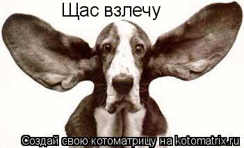 Щас взлечу... Котоматрица: Щас взлечу