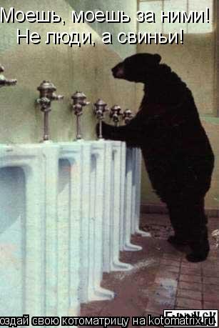 Моешь, моешь за ними! Не люди, а свиньи!... Котоматрица: Моешь, моешь за ними! Не люди, а свиньи!