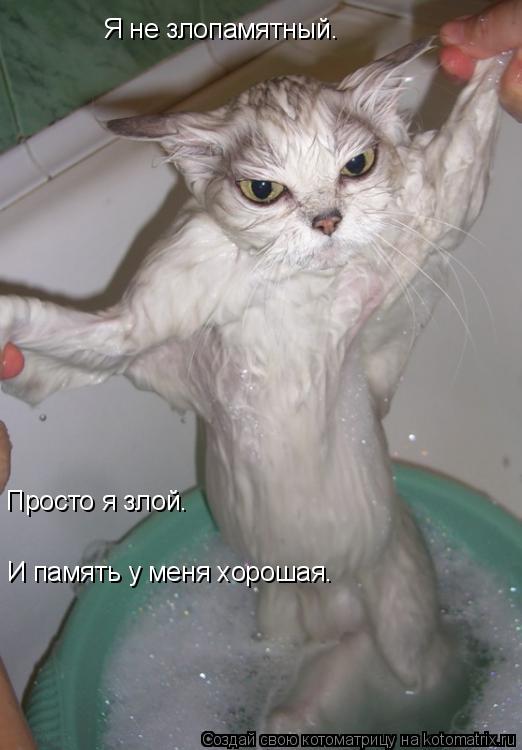Я не злопамятный. Просто я злой. И память у меня хорошая.... Котоматрица: Я не злопамятный. Просто я злой. И память у меня хорошая.