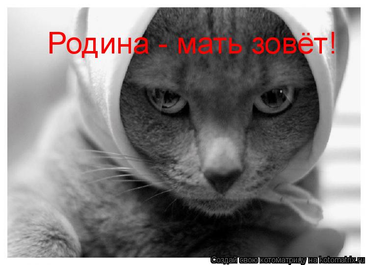 Родина - мать зовёт!... Котоматрица: Родина - мать зовёт!