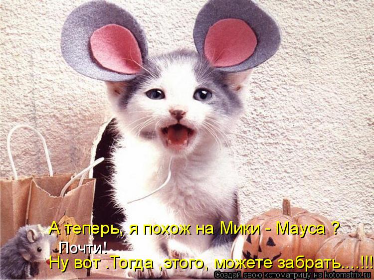 А теперь, я похож на Мики - Мауса ? Почти! Ну вот .Тогда ,этого, можете забрать....!!!... Котоматрица: А теперь, я похож на Мики - Мауса ? Почти! Ну вот .Тогда ,этого, можете забрать....!!!