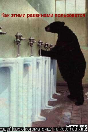 Как этими раквинами пользоватся... Котоматрица: Как этими раквинами пользоватся