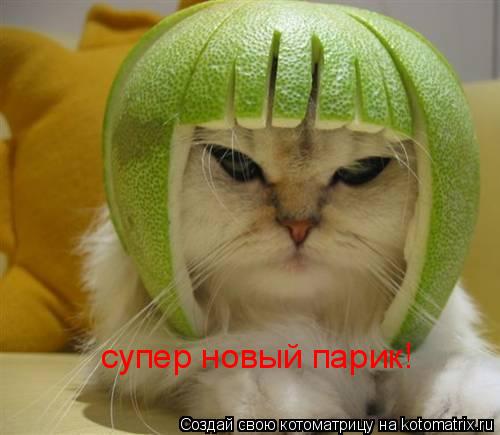 супер новый парик!... Котоматрица: супер новый парик!