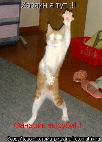 Хазяин я тут !!! Фанарик выруби!!!... Котоматрица: Хазяин я тут !!! Фанарик выруби!!!