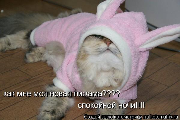 как мне моя новая пижама???? спокойной ночи!!!!... Котоматрица: как мне моя новая пижама???? спокойной ночи!!!!