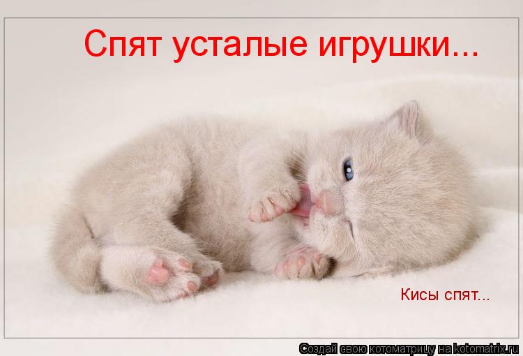 Спят усталые игрушки... Кисы спят...... Котоматрица: Спят усталые игрушки... Кисы спят...