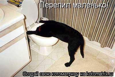 Котоматрица: Перепил маленько!