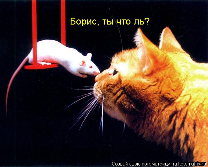 Борис, ты что ль?... Котоматрица: Борис, ты что ль?
