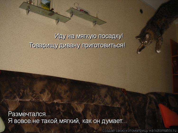 Котоматрица: Иду на мягкую посадку! Товарищу дивану приготовиться! Размечтался... Я вовсе не такой мягкий, как он думает...