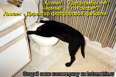 Хозяин: - Здесь рыбы нет! Чёрный: - Кто говорит? Хозяин: - Директор форфоровой фабрики... Котоматрица: Хозяин: - Здесь рыбы нет! Чёрный: - Кто говорит? Хозяин: - Директор форфоровой фабрики