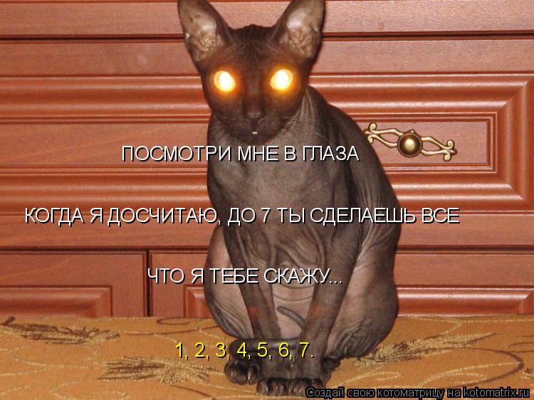 ПОСМОТРИ МНЕ В ГЛАЗА КОГДА Я ДОСЧИТАЮ, ДО 7 ТЫ СДЕЛАЕШЬ ВСЕ ЧТО Я ТЕБЕ СКАЖУ... 1, 2, 3, 4, 5, 6, 7.... Котоматрица: ПОСМОТРИ МНЕ В ГЛАЗА КОГДА Я ДОСЧИТАЮ, ДО 7 ТЫ СДЕЛАЕШЬ ВСЕ ЧТО Я ТЕБЕ СКАЖУ... 1, 2, 3, 4, 5, 6, 7.