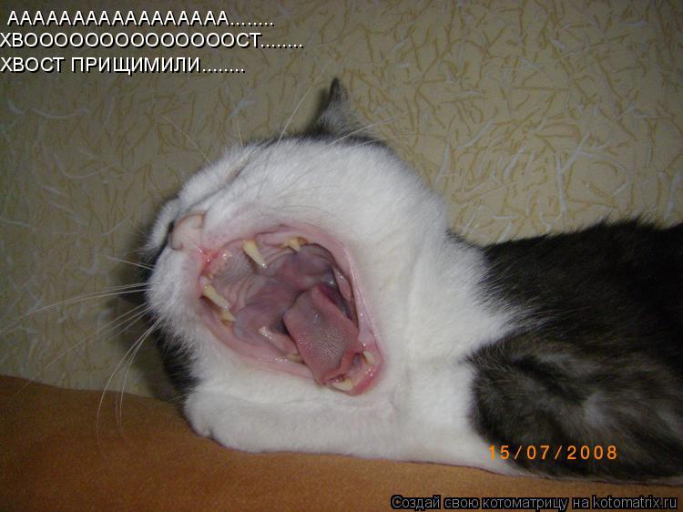 ААААААААААААААААА........ ХВООООООООООООООСТ........ ХВОСТ ПРИЩИМИЛИ........... Котоматрица: ААААААААААААААААА........ ХВООООООООООООООСТ........ ХВОСТ ПРИЩИМИЛИ........