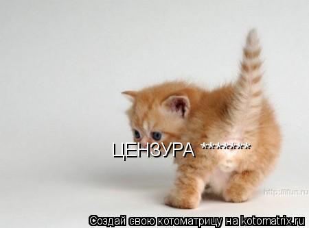 ЦЕНЗУРА *******... Котоматрица: ЦЕНЗУРА *******