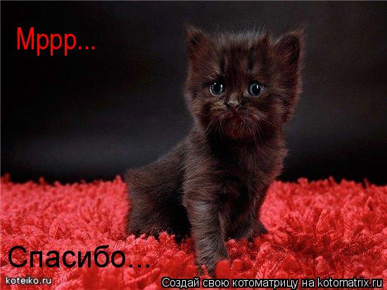 Котоматрица: Мррр... Спасибо...
