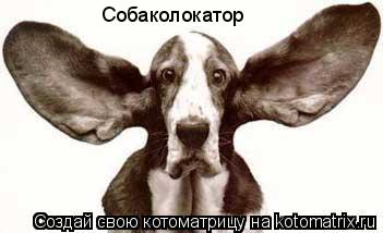Собаколокатор... Котоматрица: Собаколокатор