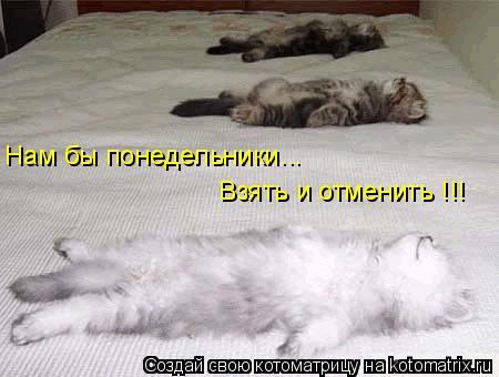 Котоматрица: Нам бы понедельники... Взять и отменить !!!