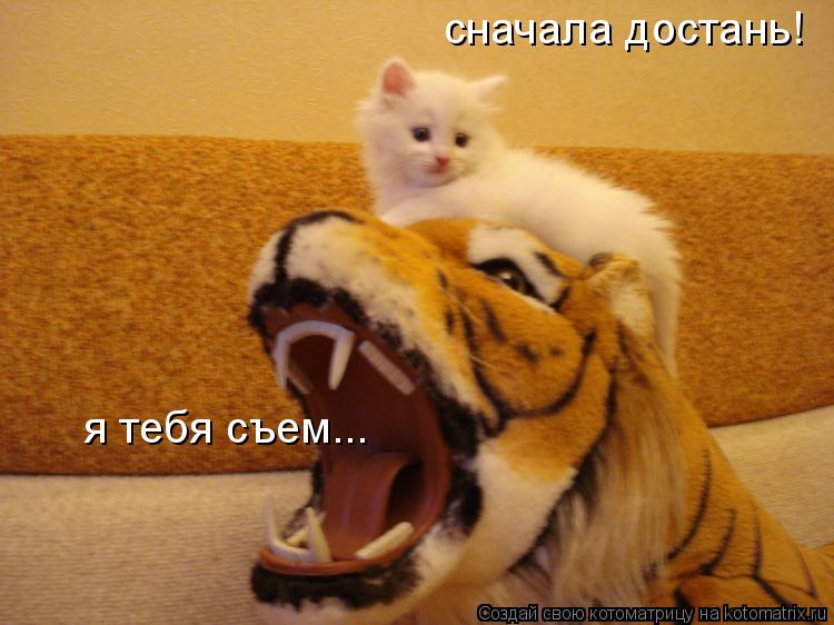 я тебя съем... сначала достань!... Котоматрица: я тебя съем... сначала достань!