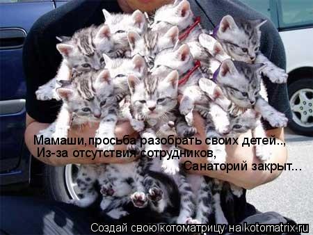 Мамаши,просьба разобрать своих детей.., Из-за отсутствия сотрудников, Санаторий закрыт...... Котоматрица: Мамаши,просьба разобрать своих детей.., Из-за отсутствия сотрудников, Санаторий закрыт...