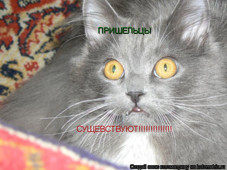 Котоматрица: ПРИШЕЛЬЦЫ  СУЩЕВСТВУЮТ!!!!!!!!!!!!!!