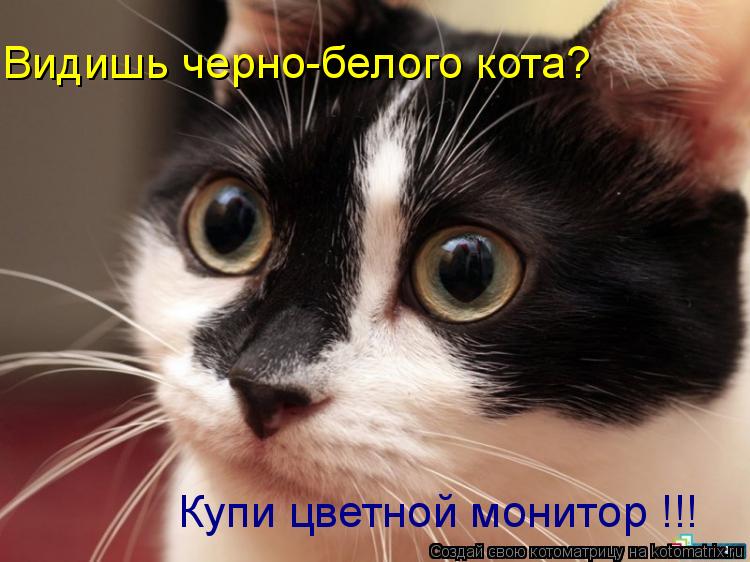 Котоматрица: Видишь черно-белого кота? Купи цветной монитор !!!