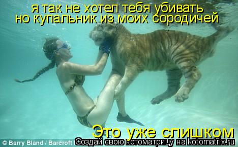 я так не хотел тебя убивать но купальник из моих сородичей Это уже слишком... Котоматрица: я так не хотел тебя убивать но купальник из моих сородичей Это уже слишком