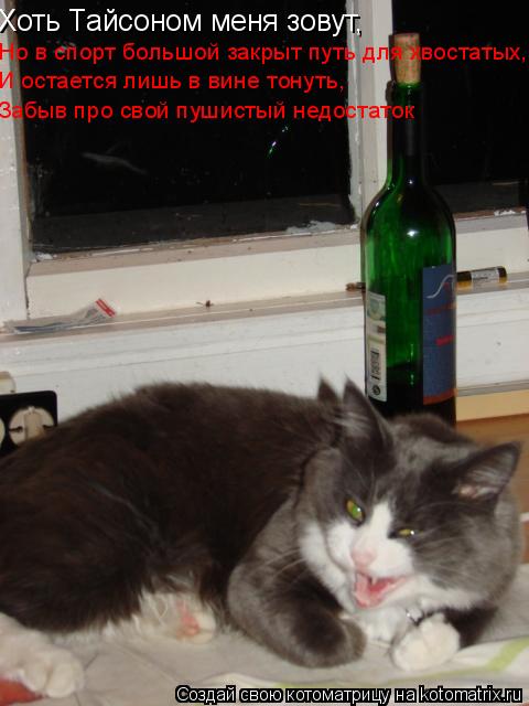 Котоматрица: Хоть Тайсоном меня зовут,  Но в спорт большой закрыт путь для хвостатых,  И остается лишь в вине тонуть, Забыв про свой пушистый недостаток З