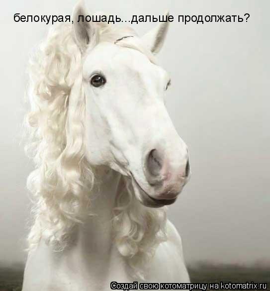 белокурая, лошадь...дальше продолжать?... Котоматрица: белокурая, лошадь...дальше продолжать?