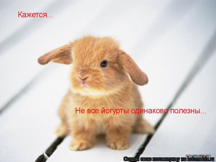 Не все йогурты одинаково полезны... Кажется...... Котоматрица: Не все йогурты одинаково полезны... Кажется...