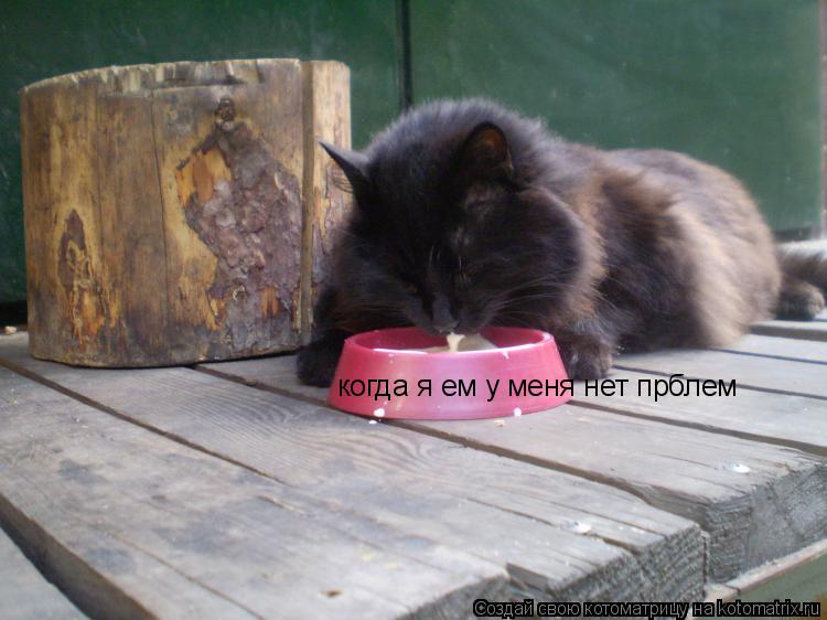 Котоматрица: когда я ем у меня нет прблем