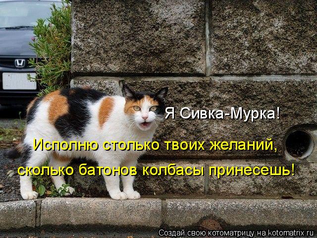 Котоматрица: Я Сивка-Мурка! Исполню столько твоих желаний, сколько батонов колбасы принесешь!