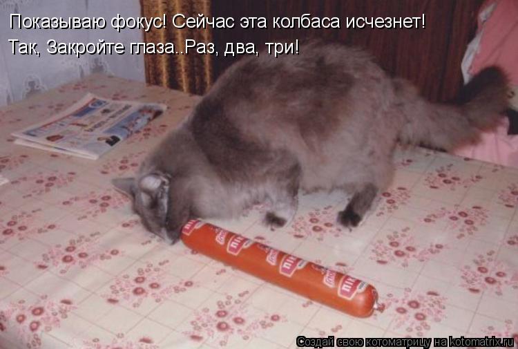 Показываю фокус! Сейчас эта колбаса исчезнет! Так, Закройте глаза..Раз, два, три!... Котоматрица: Показываю фокус! Сейчас эта колбаса исчезнет! Так, Закройте глаза..Раз, два, три!