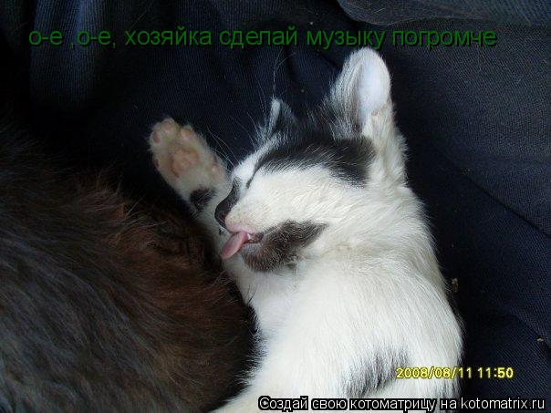 о-е ,о-е, хозяйка сделай музыку погромче... Котоматрица: о-е ,о-е, хозяйка сделай музыку погромче
