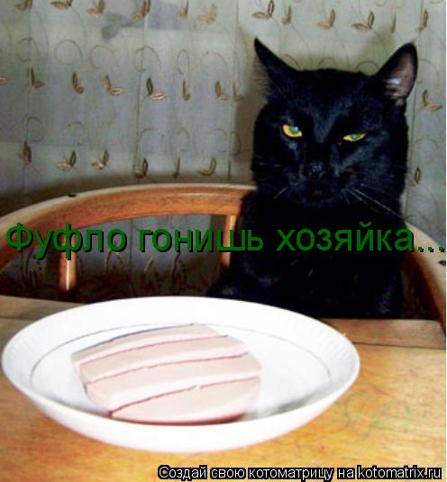 Котоматрица: Фуфло гонишь хозяйка...