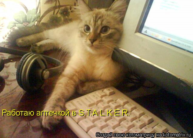Работаю аптечкой в S.T.A.L.K.E.R.... Котоматрица: Работаю аптечкой в S.T.A.L.K.E.R.