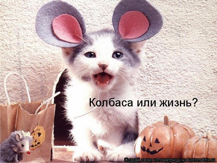 Колбаса или жизнь?... Котоматрица: Колбаса или жизнь?
