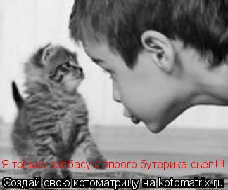 Я только колбасу с твоего бутерика сьел!!!... Котоматрица: Я только колбасу с твоего бутерика сьел!!!