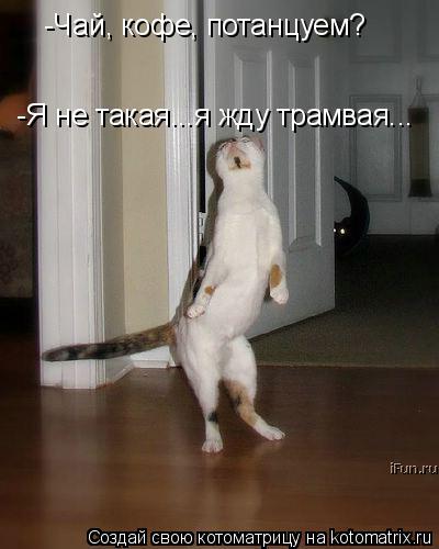 -Чай, кофе, потанцуем? -Я не такая...я жду трамвая...... Котоматрица: -Чай, кофе, потанцуем? -Я не такая...я жду трамвая...
