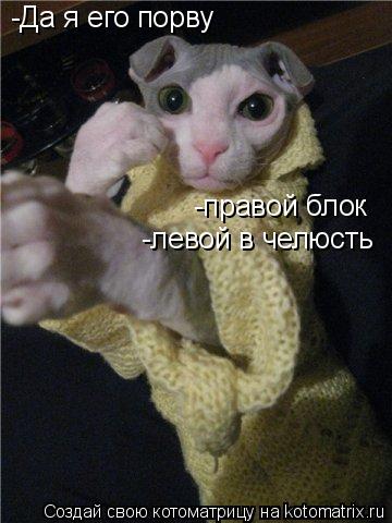 -Да я его порву -правой блок -левой в челюсть... Котоматрица: -Да я его порву -правой блок -левой в челюсть