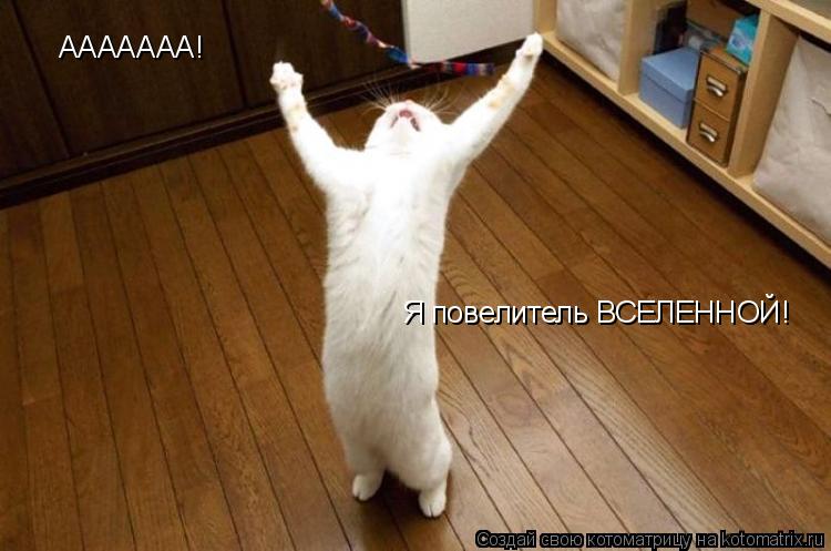ААААААА! Я повелитель ВСЕЛЕННОЙ!... Котоматрица: ААААААА! Я повелитель ВСЕЛЕННОЙ!